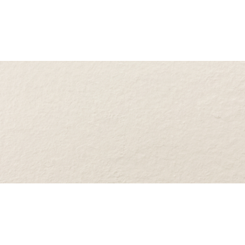Piedra Natural Regal ピエドラナチュラルリーガル 600×300角石面 AFPN-6030/RN-81
