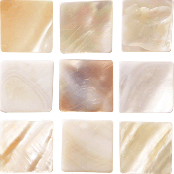 Shell シェル 20角裏メッシュ貼り AISE-20/01