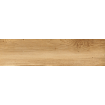 Aextra 20 エクストラ 20 1200×300角 LIF-1230T/OAK