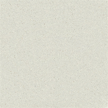 Terragrain テラグレイン 600角磨き TGN-600P/27